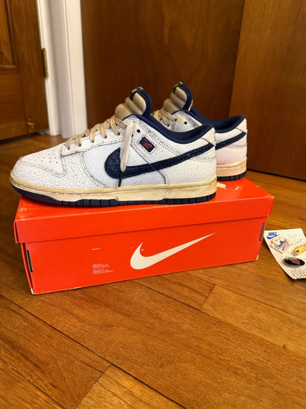 Stranger Things Nike Dunk Low m7.5/w9